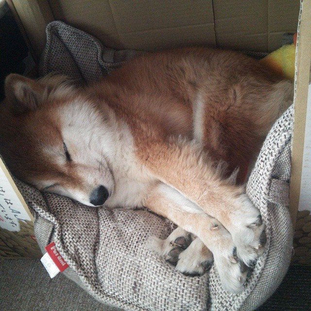 终极悬念已死,拜仁式纪律撕碎希腊神话,世界杯最残酷一课