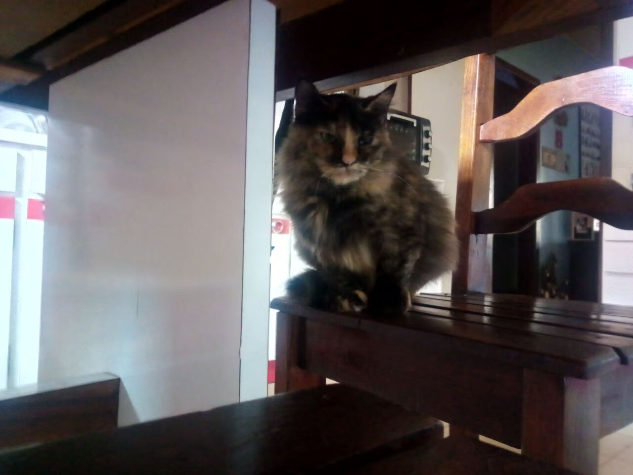 利雅得之夜,一粒头球与千次心跳的救赎