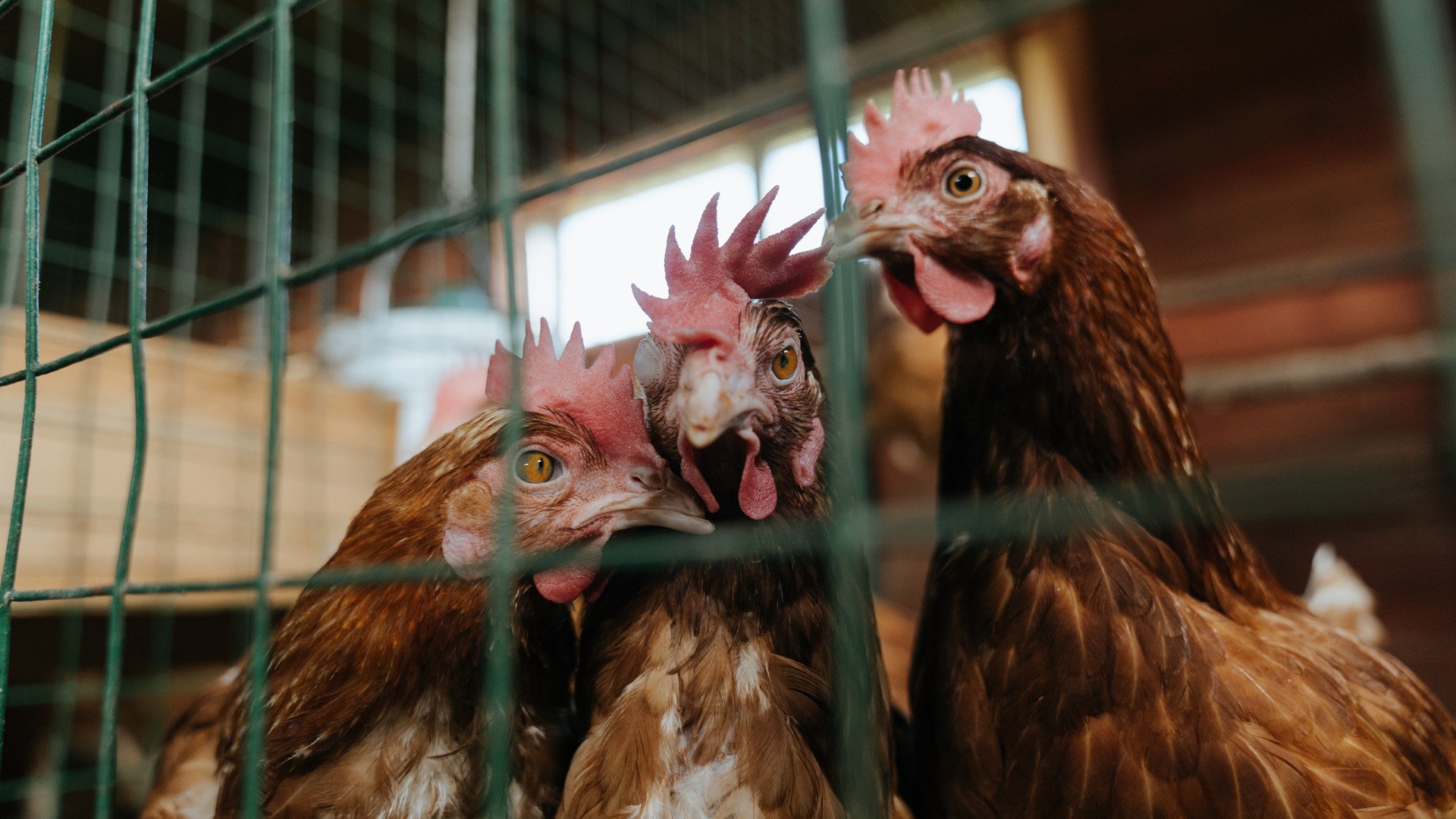 内马尔舞动东决之夜,节奏大师的完全掌控