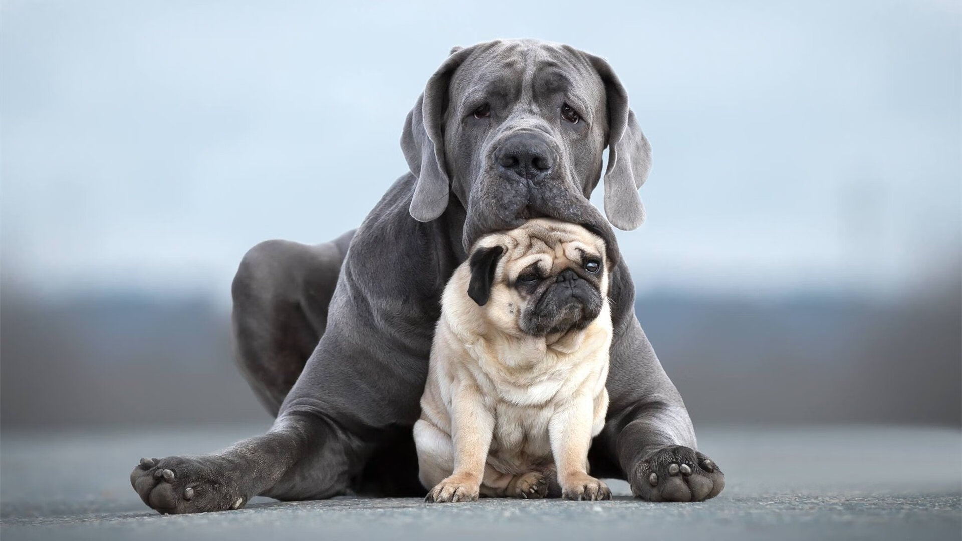 切特全能风暴席卷联盟,雄鹿破勇揭示新时代篮球法则