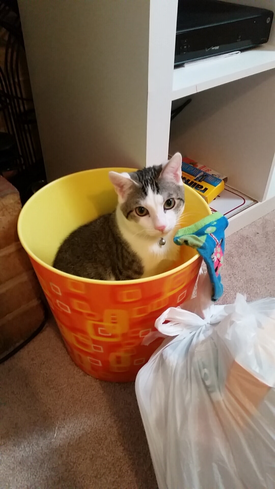 神射手射落太阳，贝恩成为吉林队客场爆冷胜负手