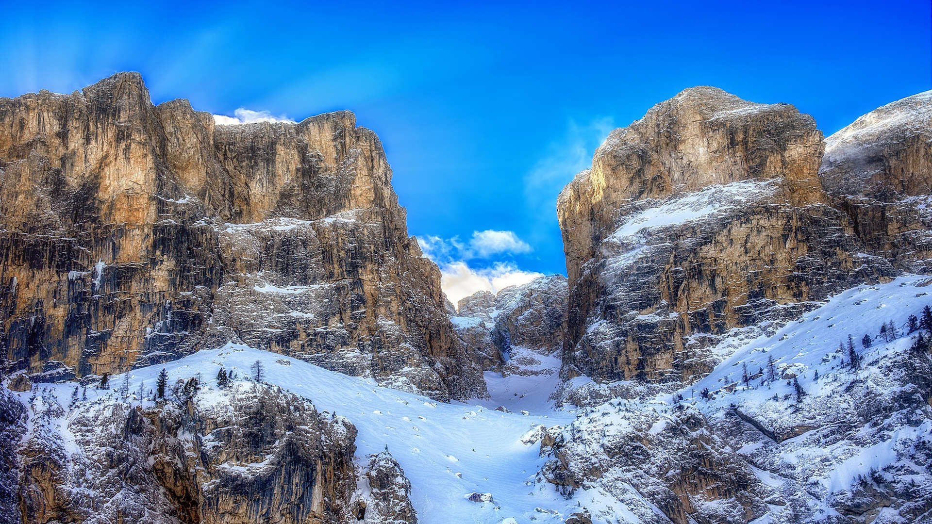 西决生死战焦点，新西兰男篮鏖战巴塞罗那，生死边缘的荣耀对决