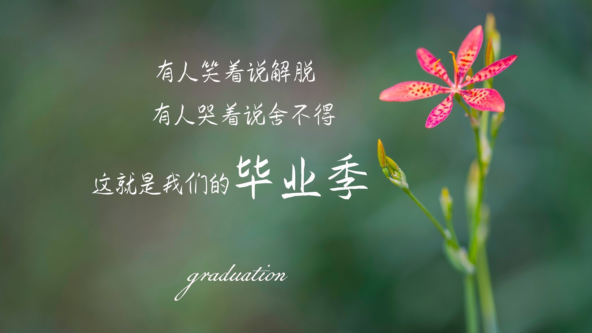 冰封战场与灼热意志，恩比德在迈阿密熔炉中献祭式演出