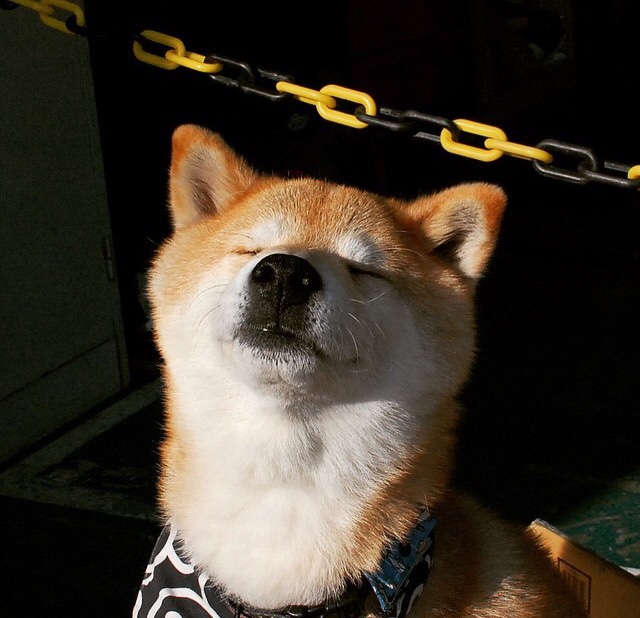 球场两端，当巴拉圭河遇见宽扎河，库尔图瓦是唯一坐标