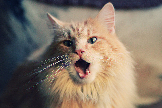 进攻与防守的战争，拉梅洛的个人艺术与尼克斯的整体意志如何诠释控制的两极