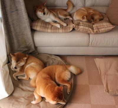 大师的独舞,德布劳内的压制级发挥与一个被定义的欧冠之夜