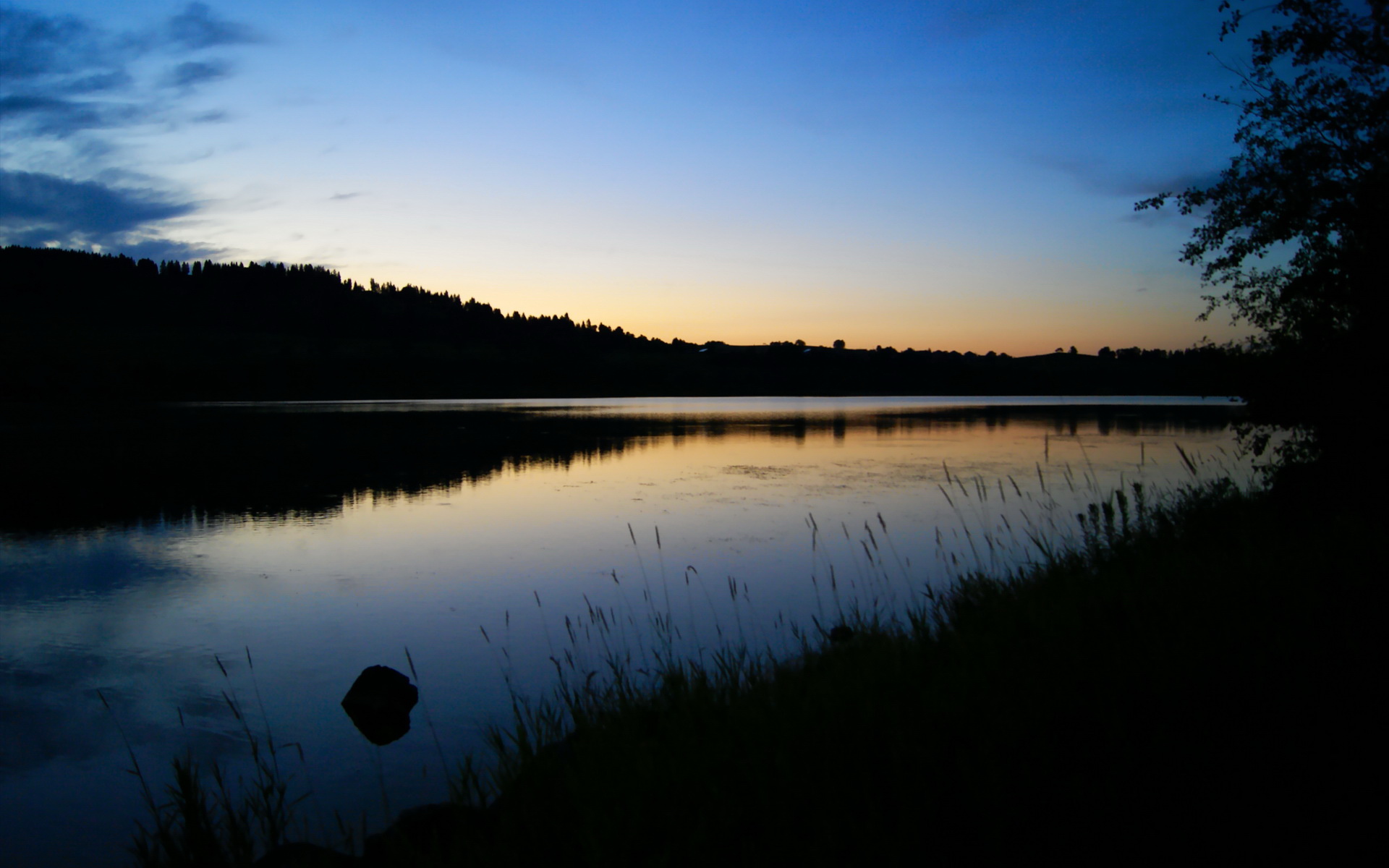 暴雨将军，范弗利特摧毁湖人之夜