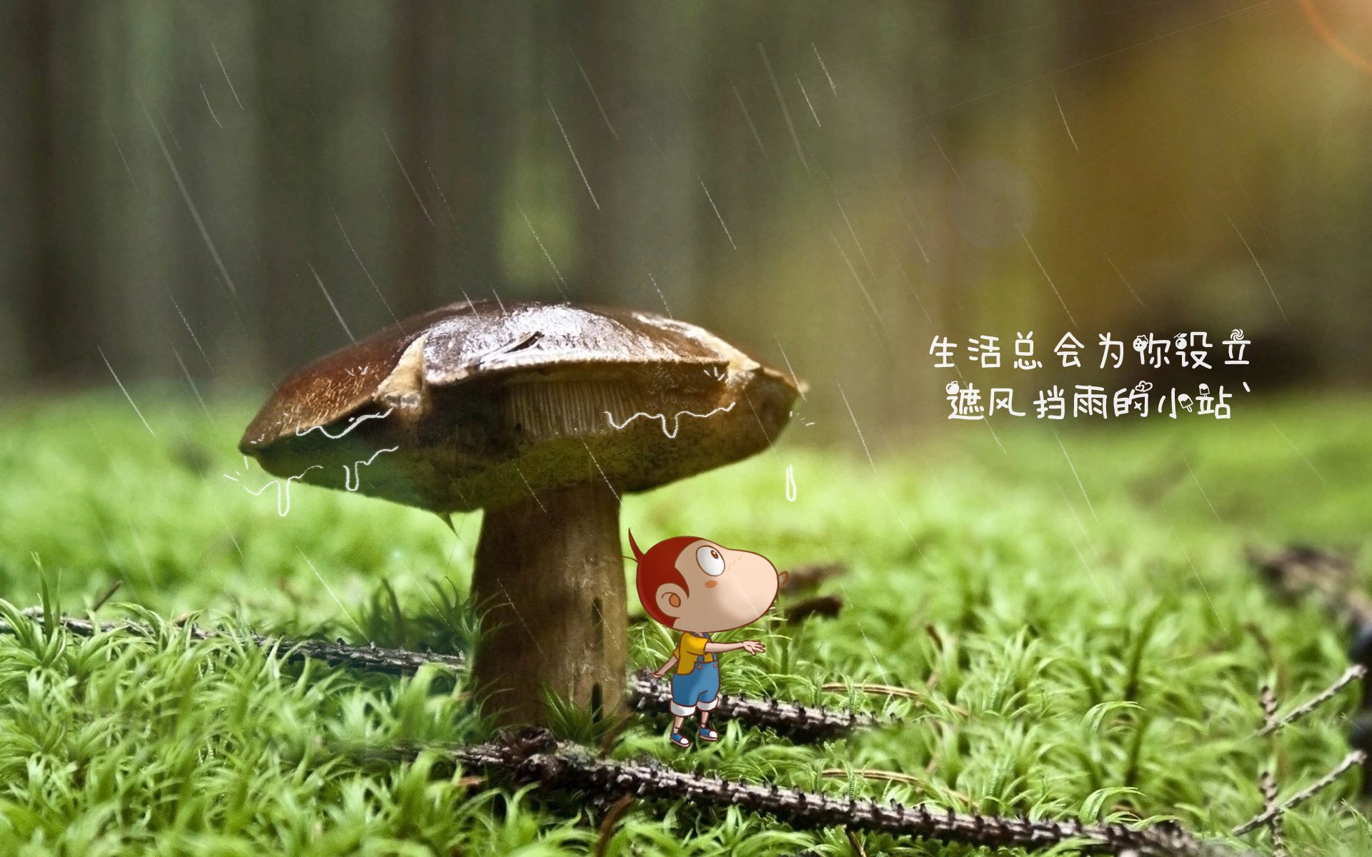 沙漠风暴席卷桑巴王国,当体系击败天赋,贝林厄姆与一名替补奇兵如何改写足球版图