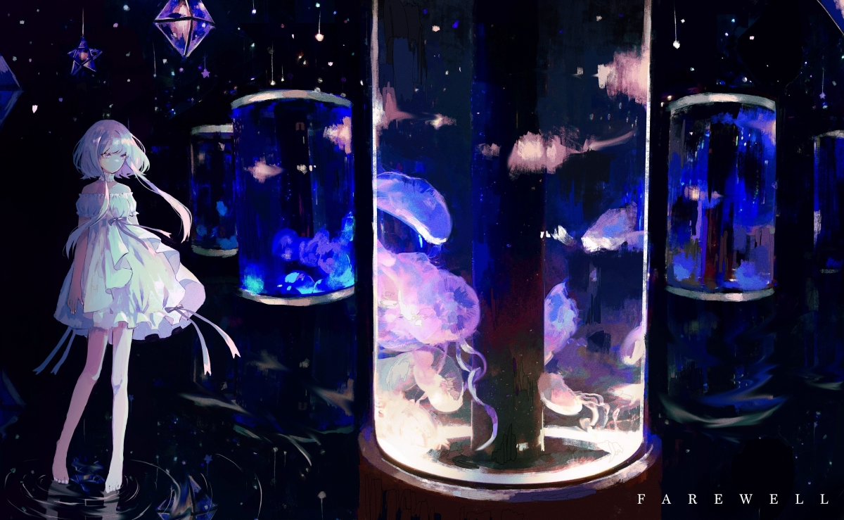 历史的回响,未来的序章,迪亚斯那记头槌,如何将葡萄牙的过去与2026的宇宙相连